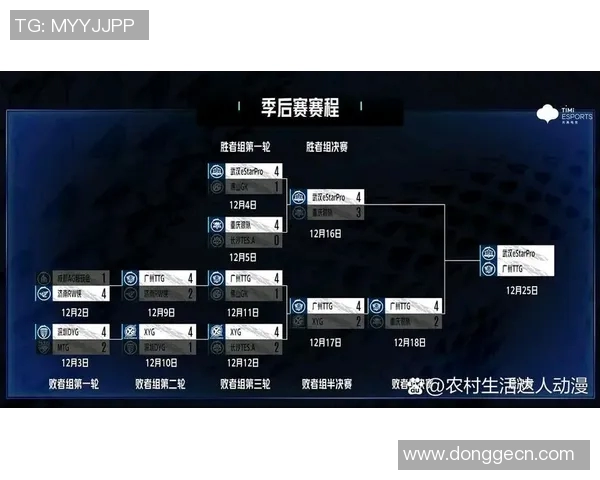 esports最新数据王者荣耀中LNG战队的团队配合与战术解析探讨