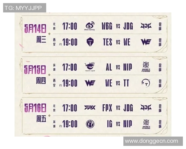 赛后复盘JDG与IG对决的节奏变化与战术分析